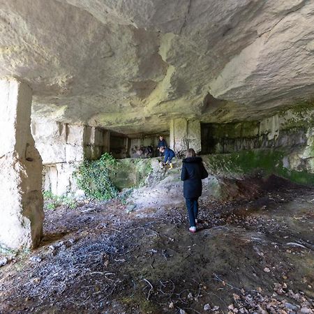 Logis De Bois Roche Villa Saint-Bonnet-sur-Gironde Luaran gambar