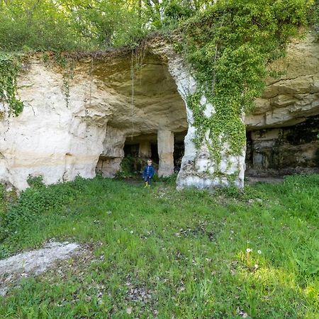 Logis De Bois Roche Villa Saint-Bonnet-sur-Gironde Luaran gambar