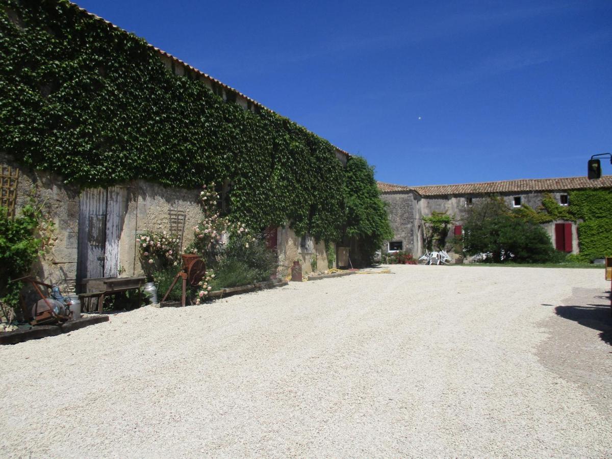 Logis De Bois Roche Villa Saint-Bonnet-sur-Gironde Luaran gambar