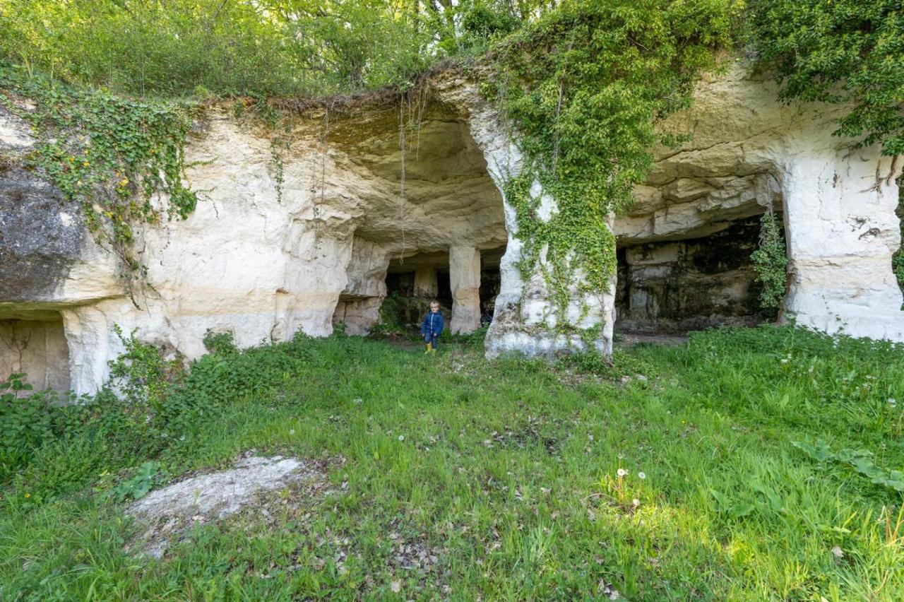 Logis De Bois Roche Villa Saint-Bonnet-sur-Gironde Luaran gambar