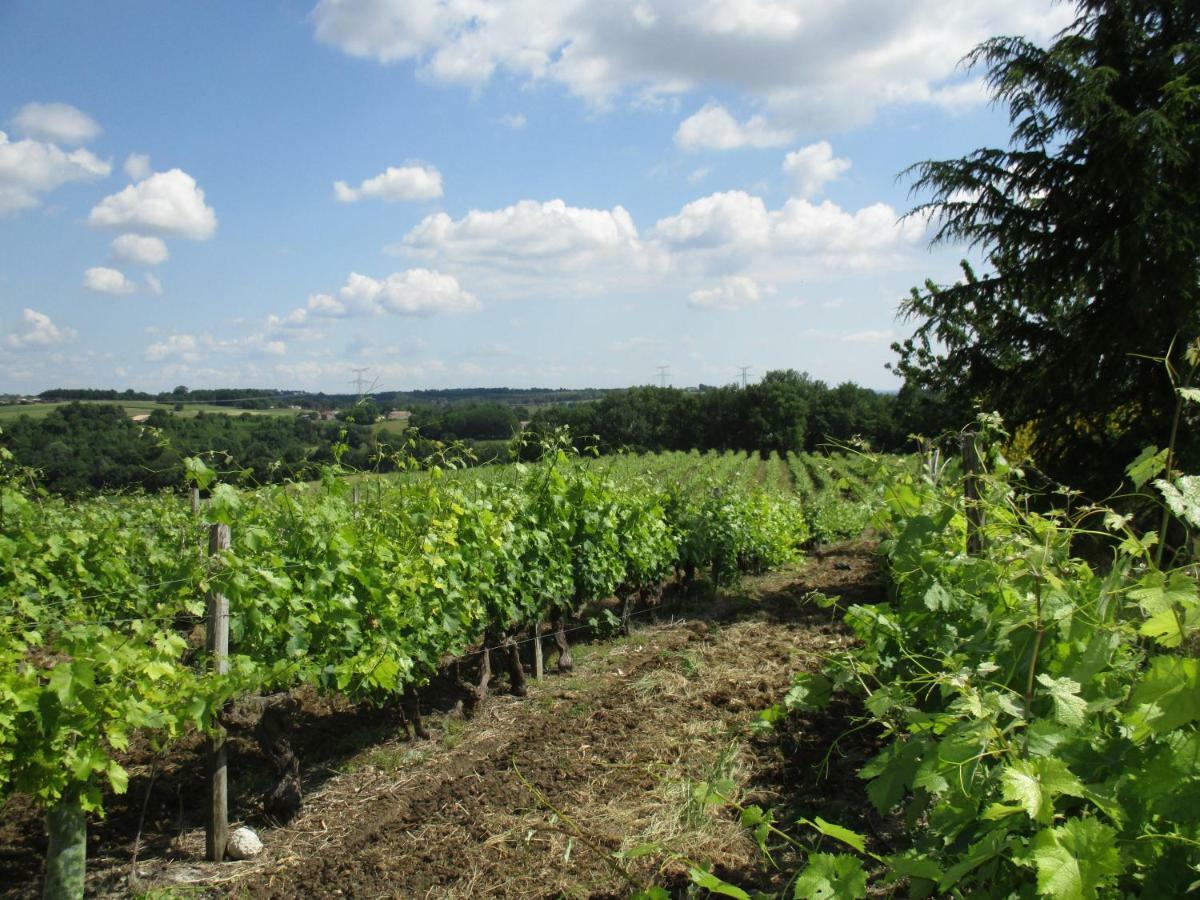 Logis De Bois Roche Villa Saint-Bonnet-sur-Gironde Luaran gambar