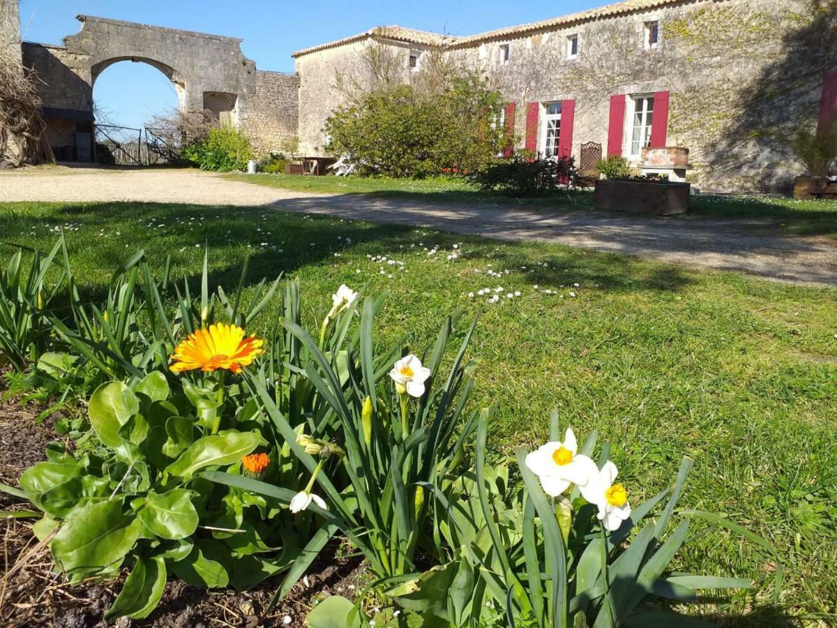 Logis De Bois Roche Villa Saint-Bonnet-sur-Gironde Luaran gambar