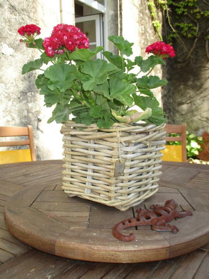 Logis De Bois Roche Villa Saint-Bonnet-sur-Gironde Luaran gambar