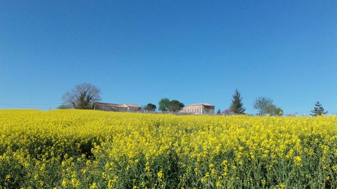 Logis De Bois Roche Villa Saint-Bonnet-sur-Gironde Luaran gambar